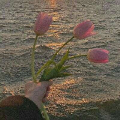 斐雪派克与加拿大头部旅居车品牌达成合作